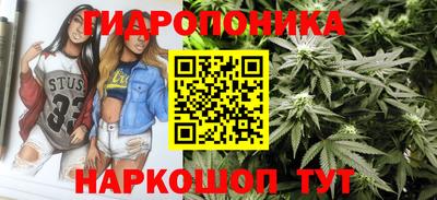 spice Кандалакша