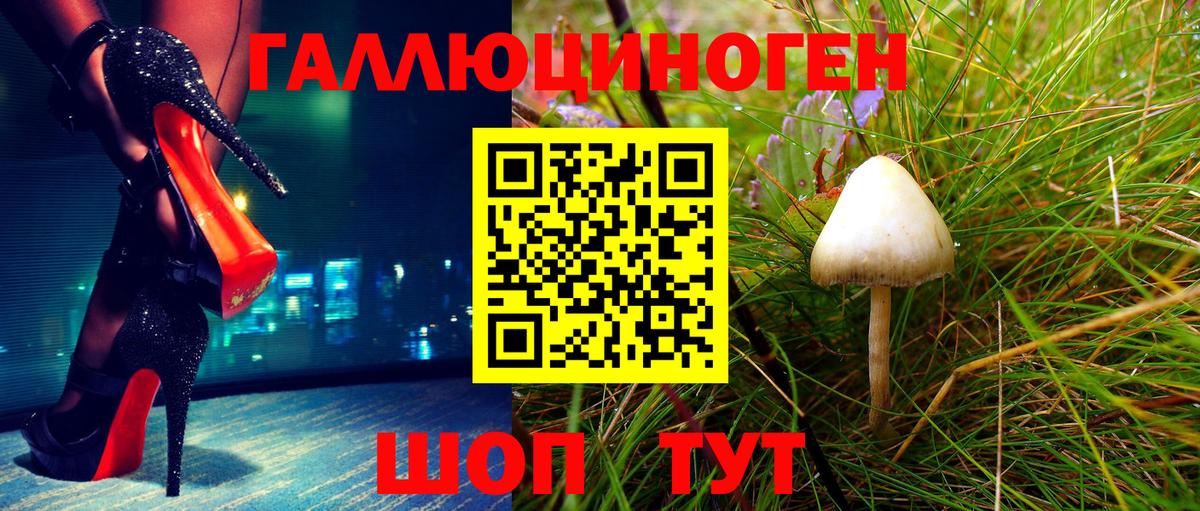 Галлюциногенные грибы Magic Shrooms  что такое наркотик  Кызыл  Вход с VPN 