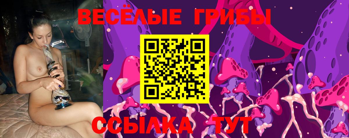 Галлюциногенные грибы Psilocybine cubensis Кызыл