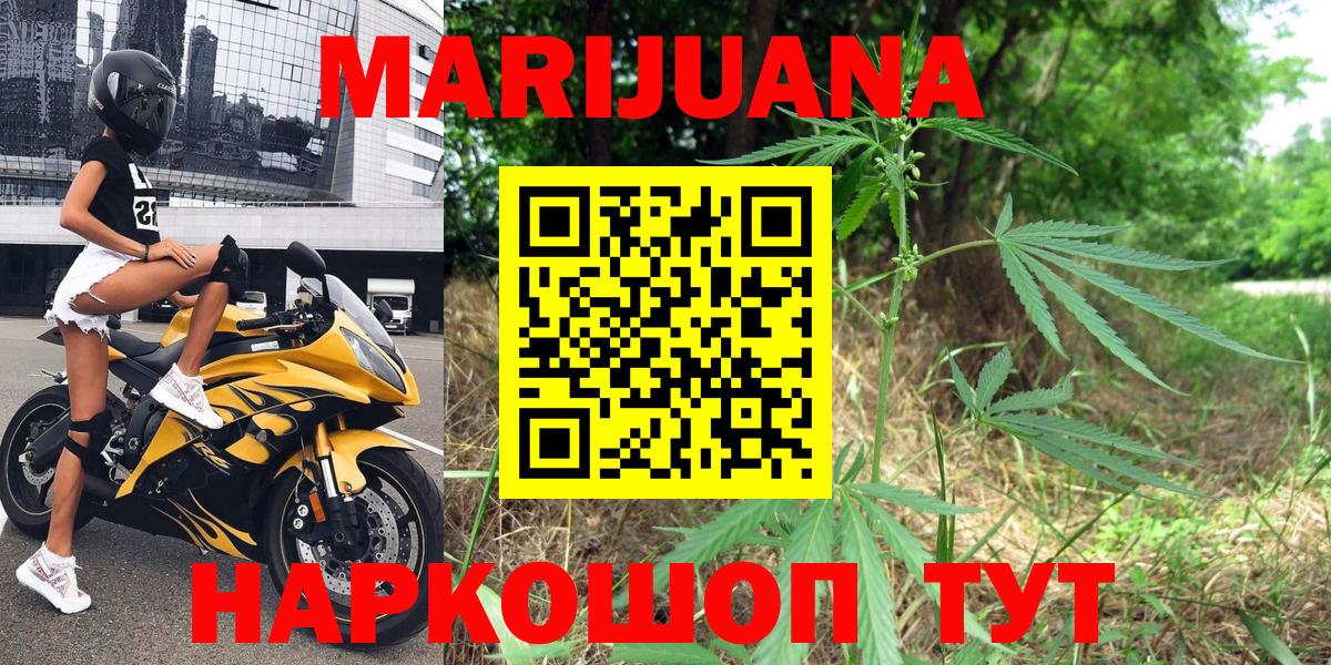 Бошки Шишки White Widow  Вход с VPN  Кызыл  МАРИХУАНА THC 21%  Канабис сатива 